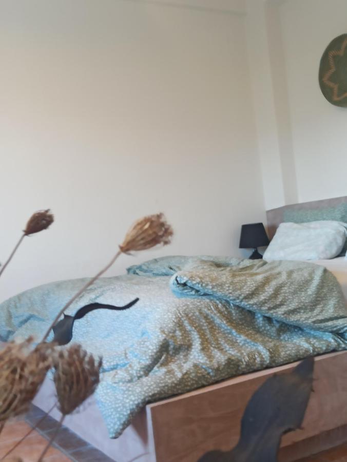 Knots Apartments Agios Nikolaos  Екстер'єр фото